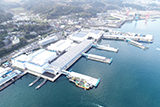 松浦魚市場　荷捌き所