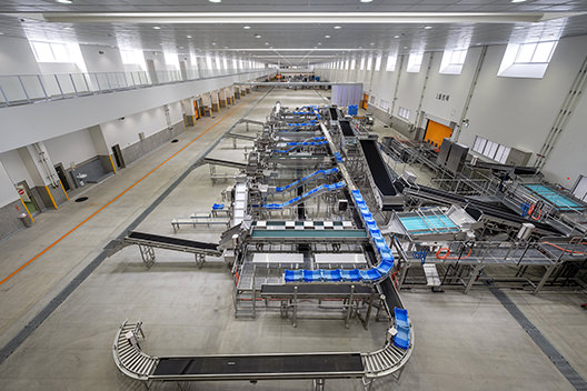 松浦魚市場　荷捌き所